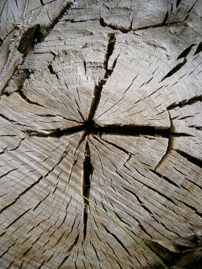 wodden-cross-1186166