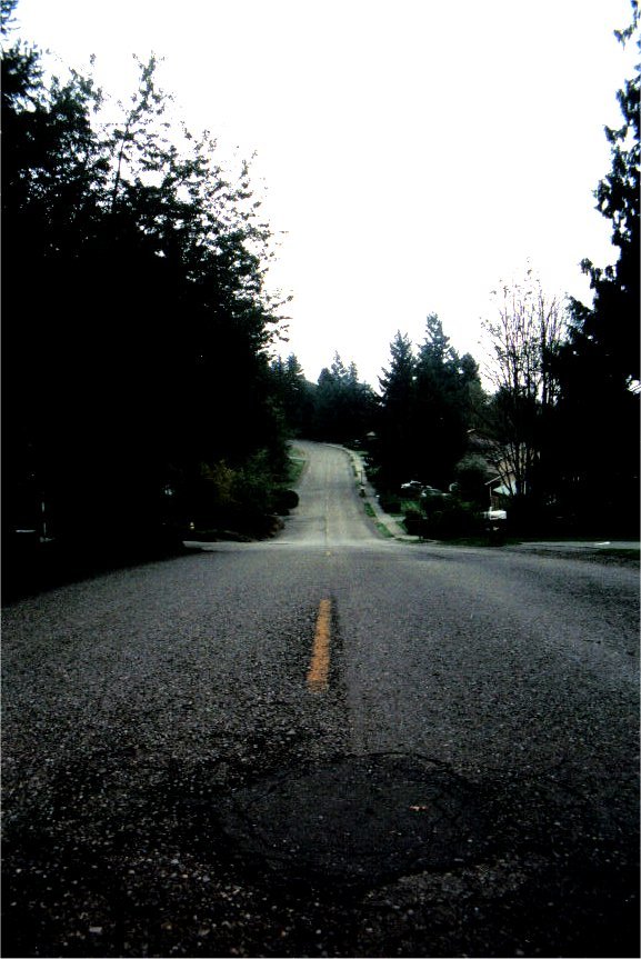 a-bump-in-the-road-1519580