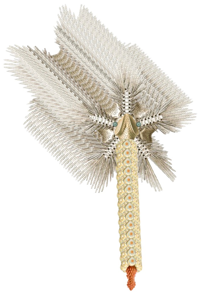 4-an-unanticipated-tenderness