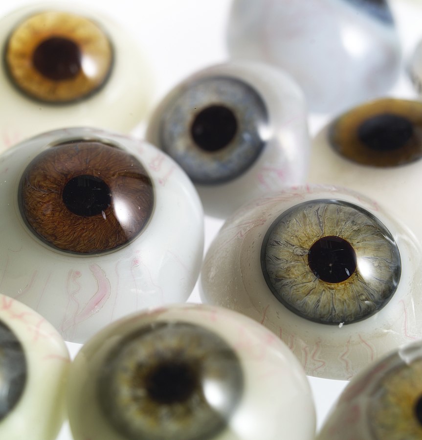 Image Description: Close-up of multiple glass eyes. 
