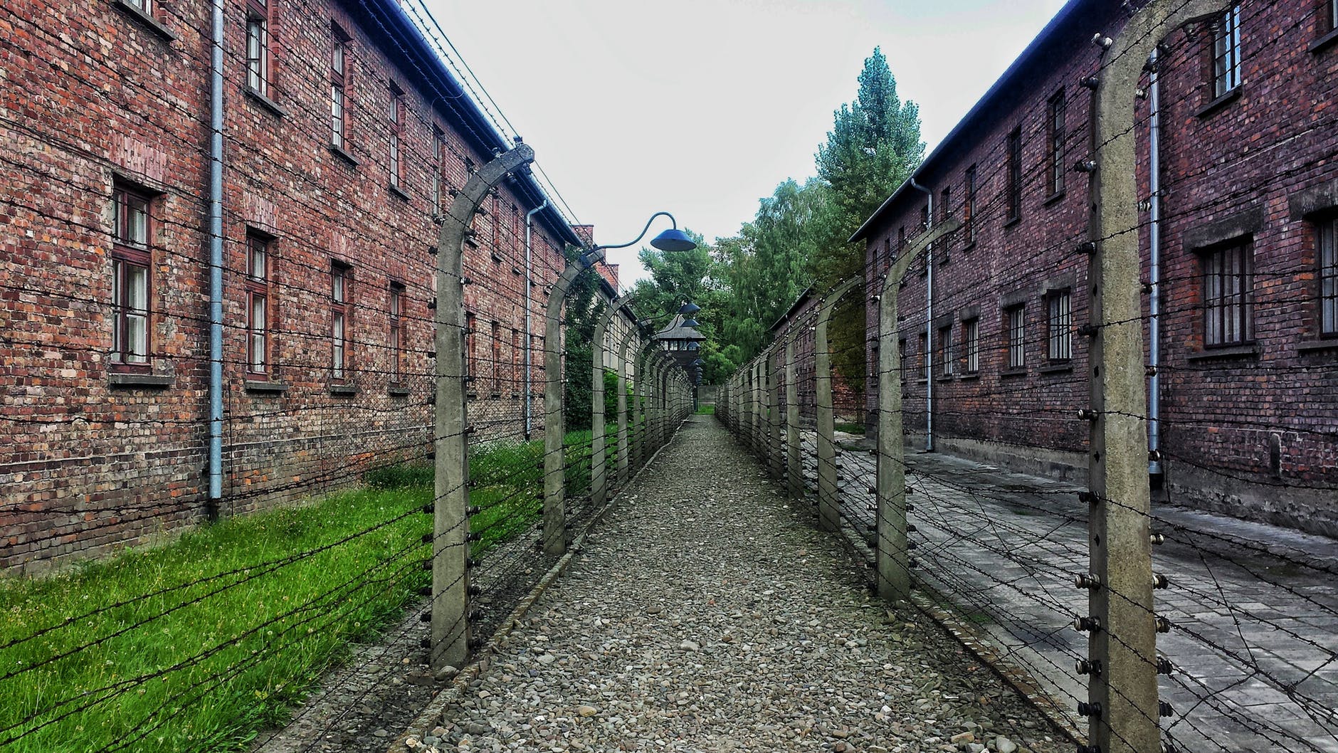 Image Description: A pebble pathway between two brick buildings. The pathway is lined in barbed-wire fencing.