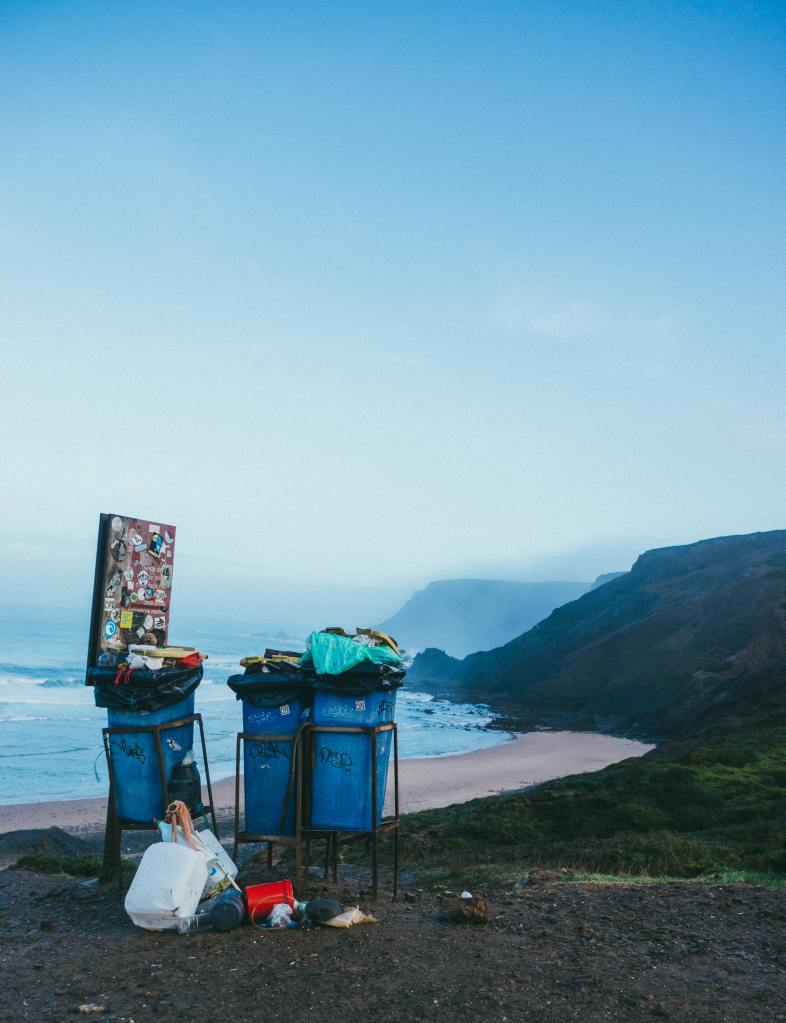 Photo of trash cans (one holding a piece of artwork) foregrounded in a beach landscape