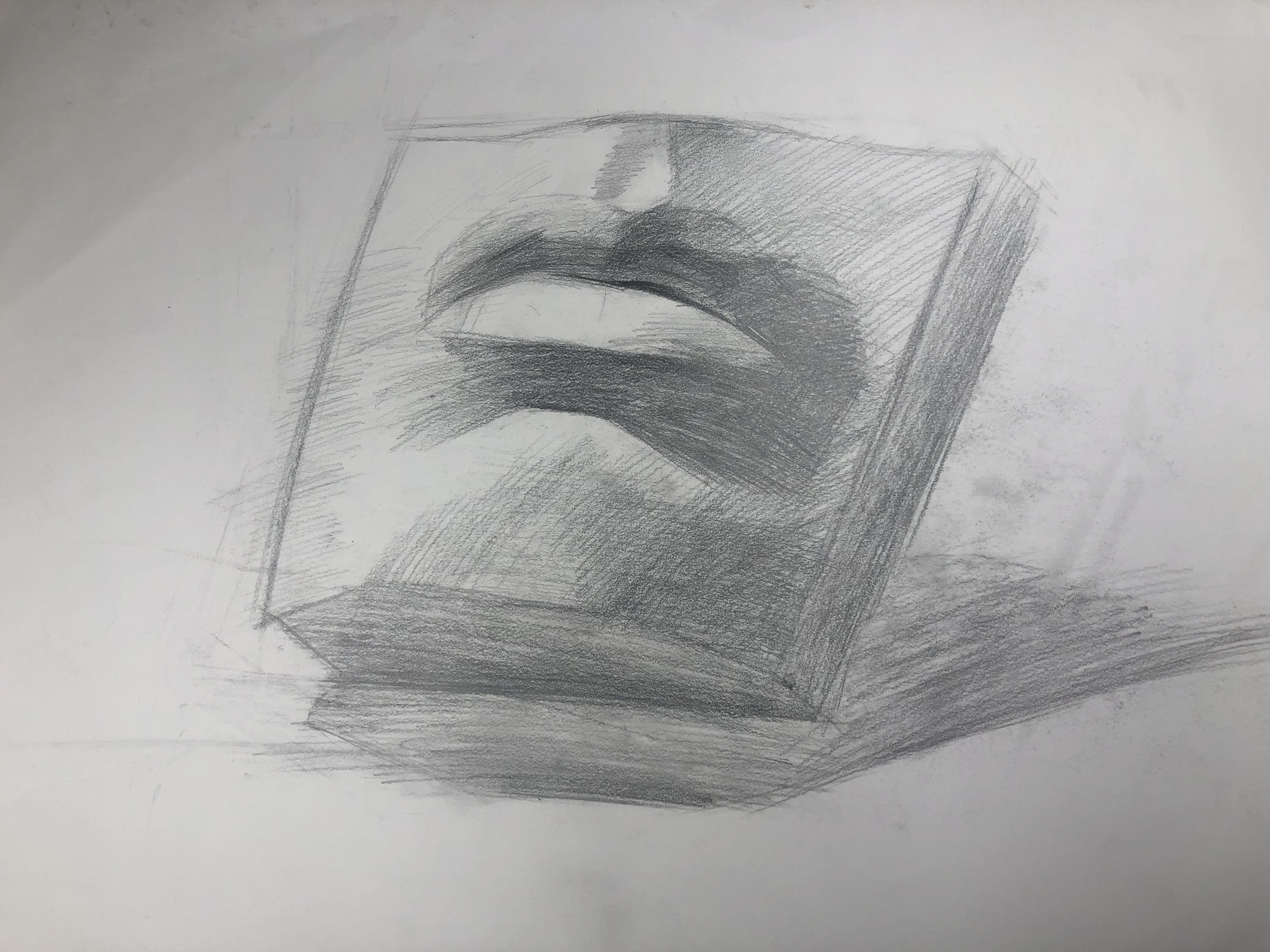 A sketch of lips and chin on a square cut out of a face.