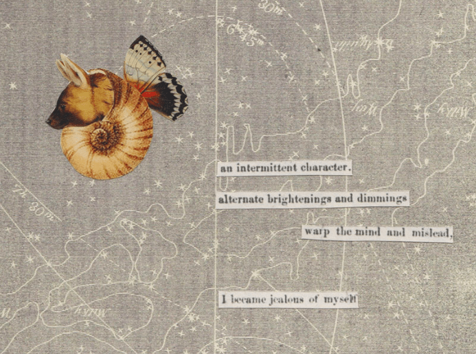 an intermittent character. alternate brightenings and dimmings. warp the mind and mislead, I became jealous of myself.