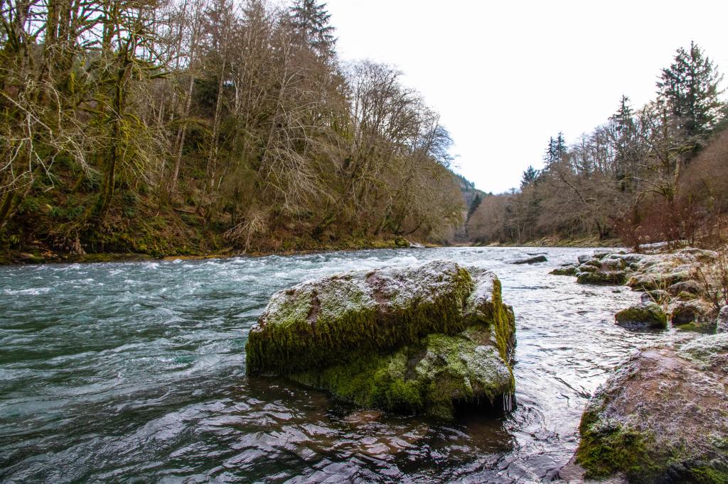 Photograph of a river in winter, with bare trees on the shoreline. 