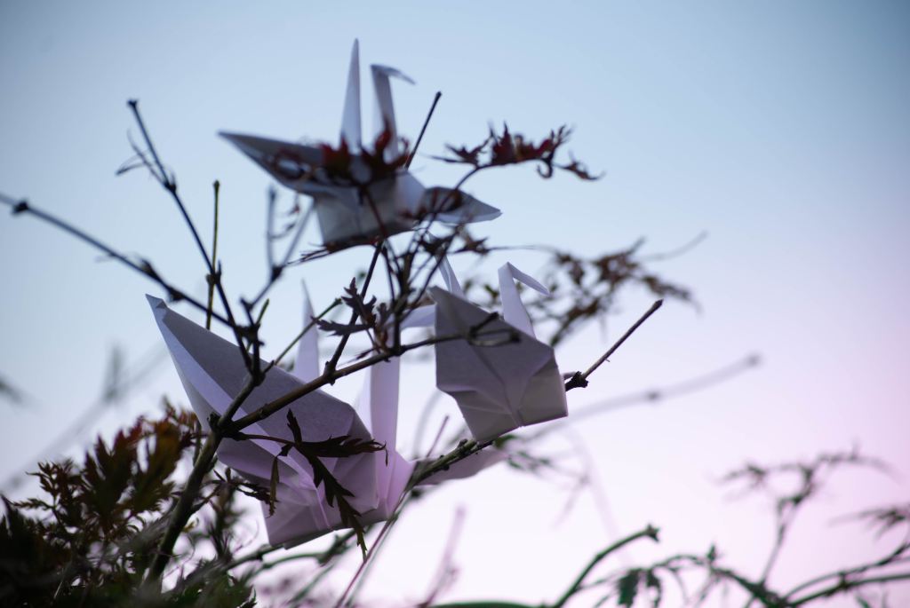 Origami paper cranes on a tree branch. 